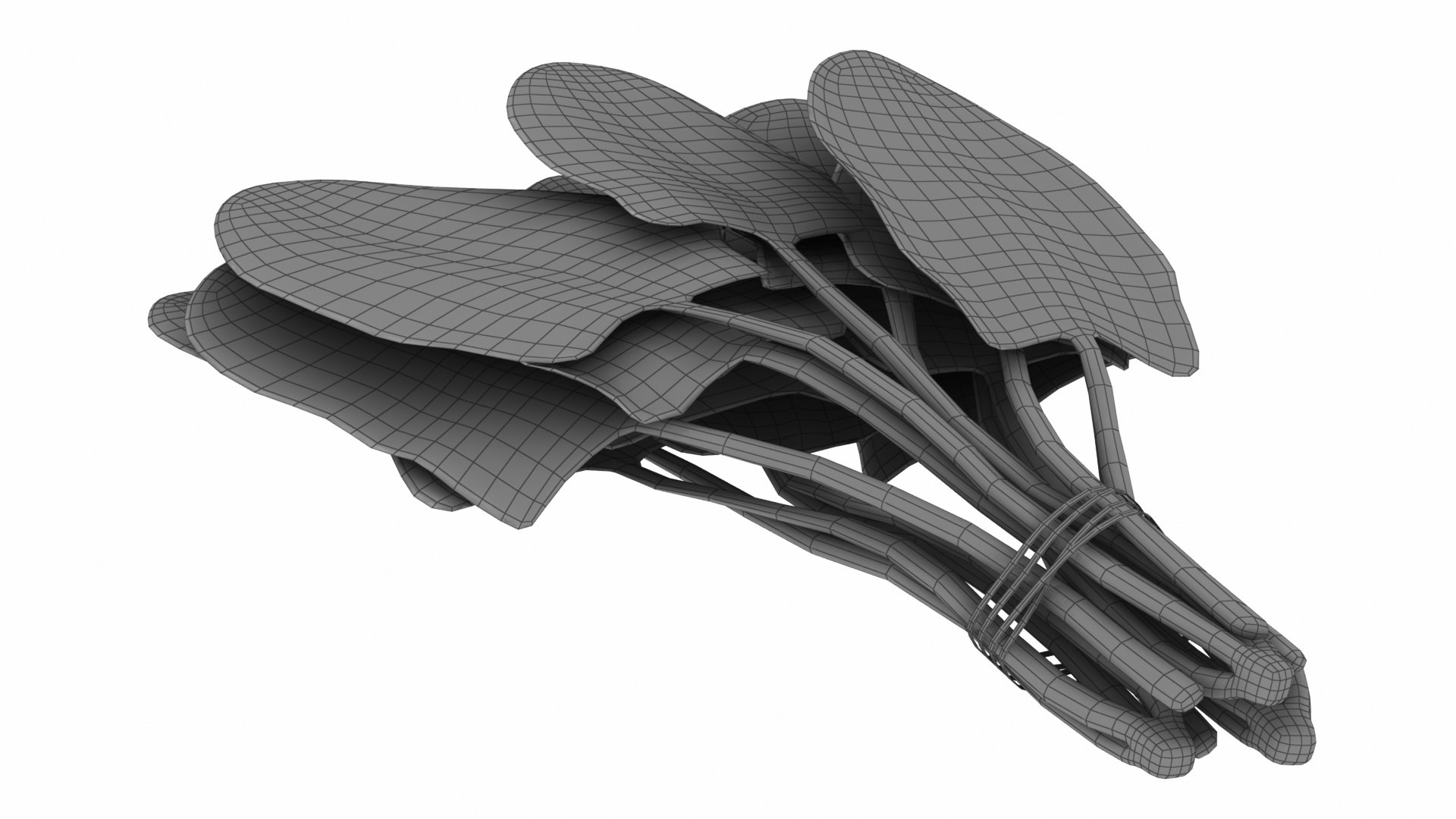 Spinach Bunch 3D https://p.turbosquid.com/ts-thumb/H9/xEijKh/YV/spinachbunch16/jpg/1768739773/1920x1080/fit_q87/d418cc85d68b8a87f1ab7300c9e80d7397308902/spinachbunch16.jpg