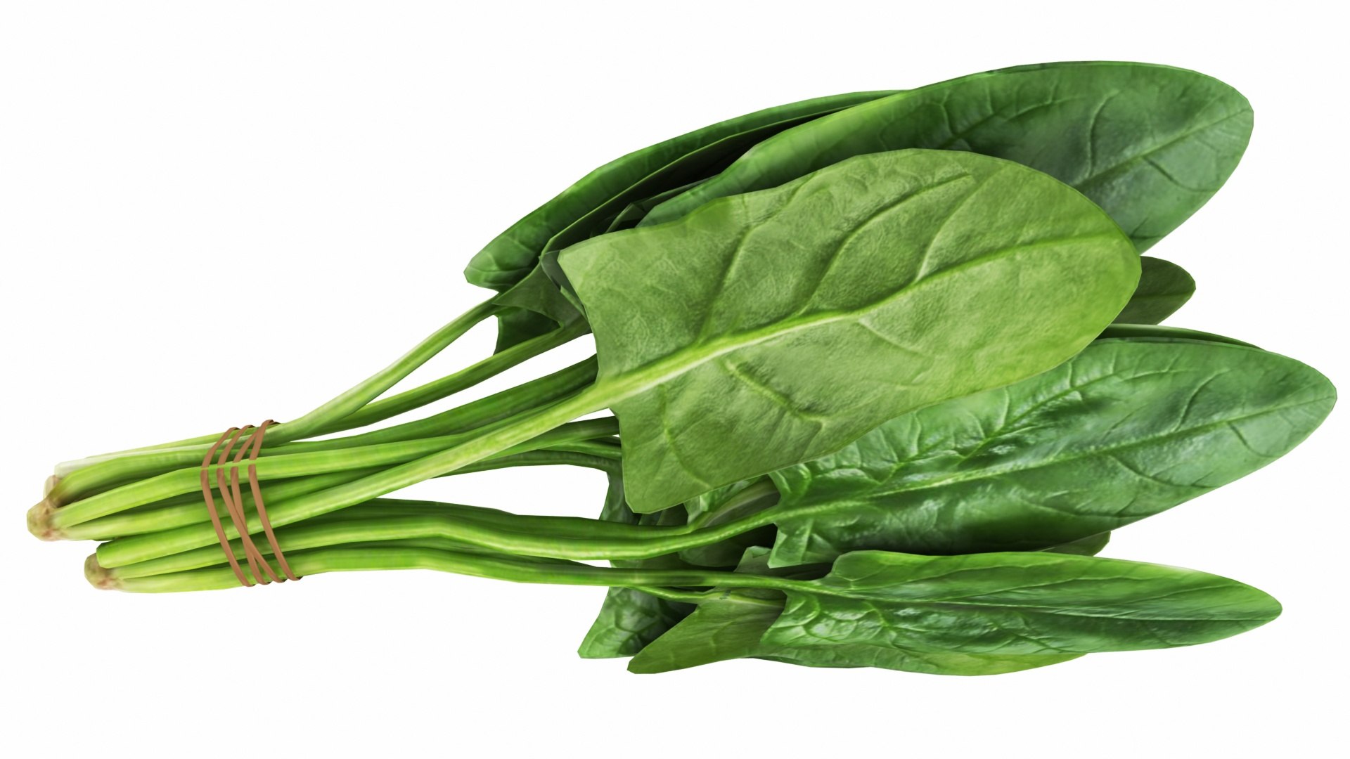 Spinach Bunch 3D https://p.turbosquid.com/ts-thumb/H9/xEijKh/c9/spinachbunch4/jpg/1768739766/1920x1080/fit_q87/f9891620457129fcaa12a9e78eaa622be5b21eb7/spinachbunch4.jpg