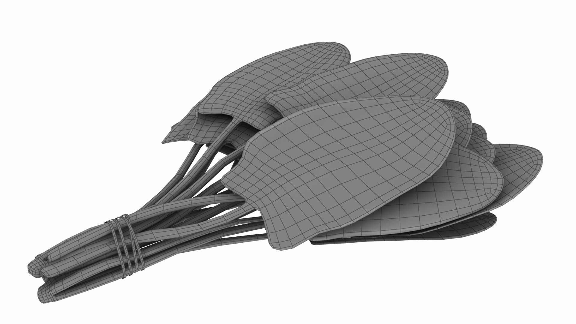 Spinach Bunch 3D https://p.turbosquid.com/ts-thumb/H9/xEijKh/eS/spinachbunch11/jpg/1768739770/1920x1080/fit_q87/da426f6b393d7f1f8d9dec282c419a4dfb006394/spinachbunch11.jpg
