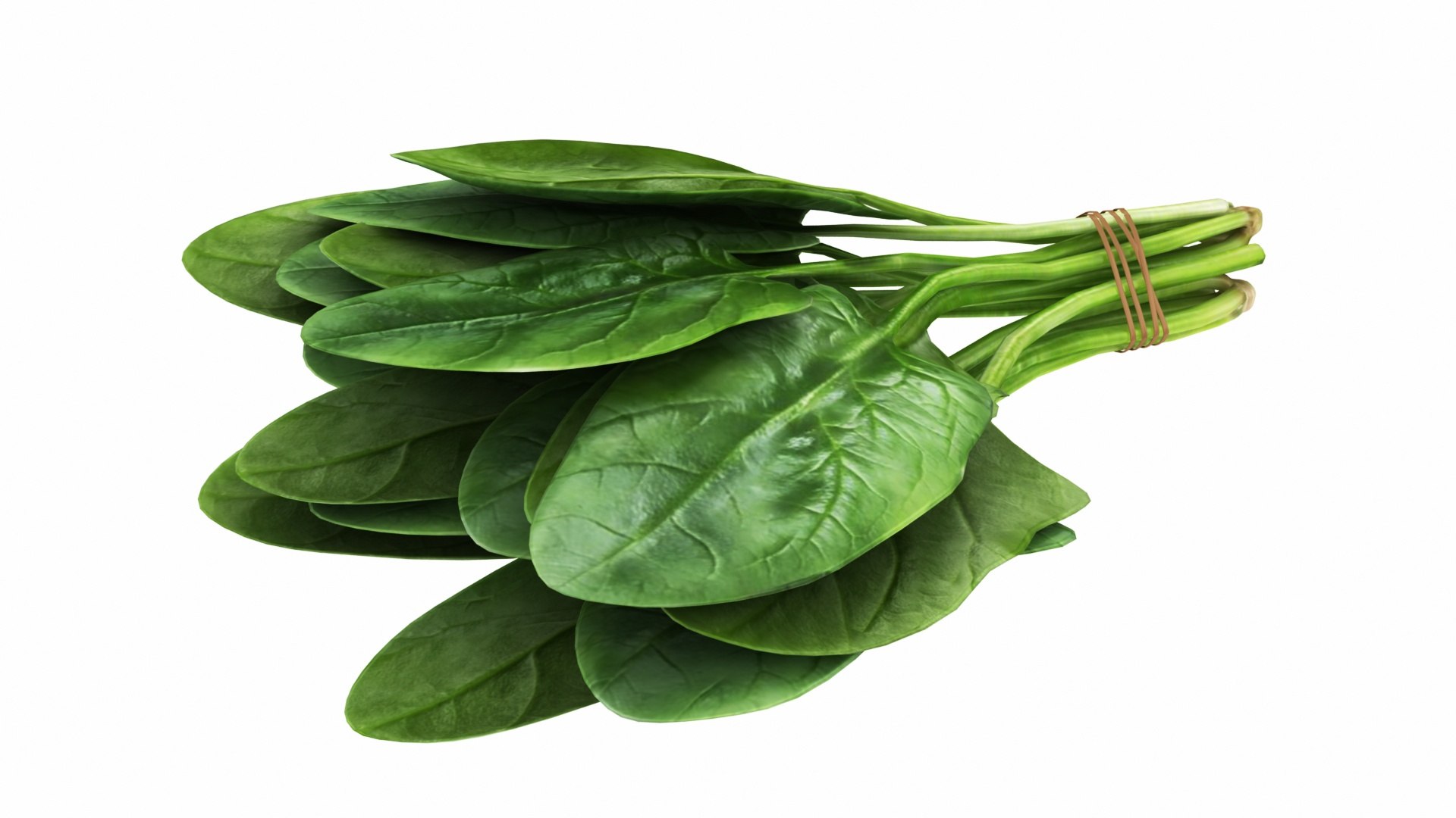 Spinach Bunch 3D https://p.turbosquid.com/ts-thumb/H9/xEijKh/eY/spinachbunch2/jpg/1768739765/1920x1080/fit_q87/4ee7cf82e9306de7fbbff03e4fa7415031ca0d96/spinachbunch2.jpg