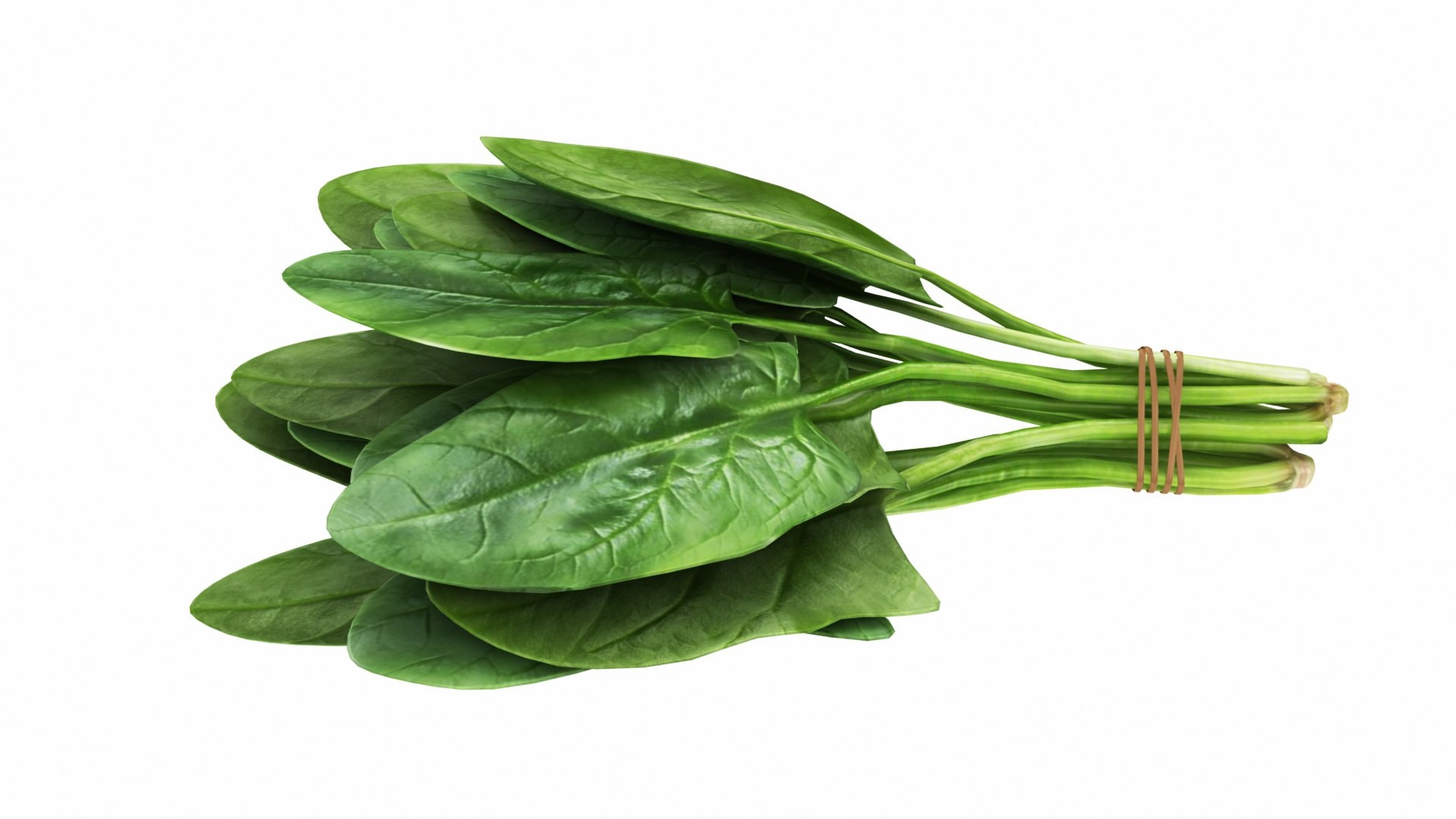 Spinach Bunch 3D https://p.turbosquid.com/ts-thumb/H9/xEijKh/g0/spinachbunch5/jpg/1768739766/1920x1080/fit_q87/c6cf2bf1f85f207c9835b5a16c8d90c8d09666ae/spinachbunch5.jpg