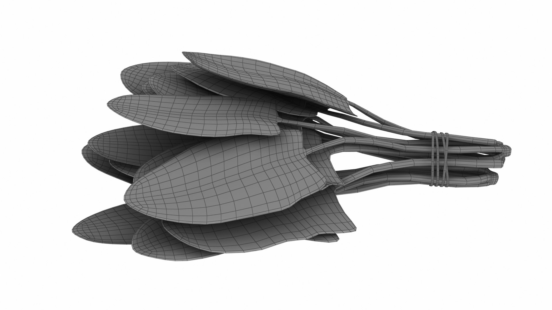 Spinach Bunch 3D https://p.turbosquid.com/ts-thumb/H9/xEijKh/nX/spinachbunch13/jpg/1768739771/1920x1080/fit_q87/8584c84627f154aa9c9f2f595e6c5e119419b902/spinachbunch13.jpg