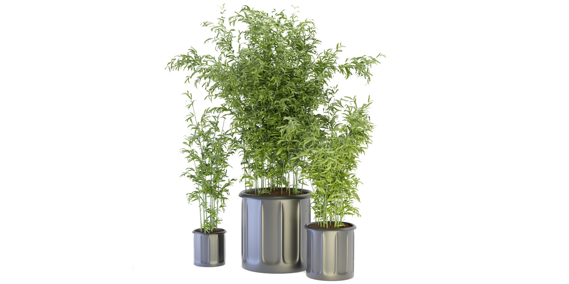 Collection plant vol 96 - blender model 3D https://p.turbosquid.com/ts-thumb/HA/LGhyBJ/1L/3/jpg/1686831591/1920x1080/fit_q87/d0aa574ce126d971e4ba99091e49d0b9221dd23f/3.jpg