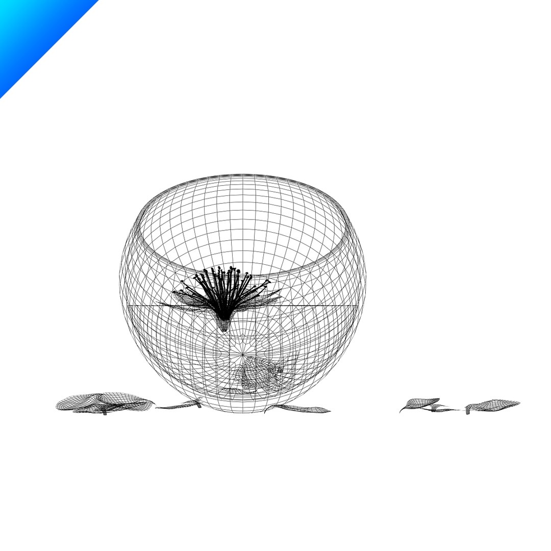 contemporary flower max free https://p.turbosquid.com/ts-thumb/HA/QVWd2S/Hrv7W1fg/plumblossominglasscup_09/jpg/1309740931/1920x1080/fit_q87/04e0f9a56e1c449699d201d1ad5efb9a13ec0d91/plumblossominglasscup_09.jpg
