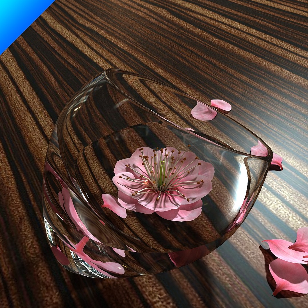 contemporary flower max free https://p.turbosquid.com/ts-thumb/HA/QVWd2S/Iw58XaFJ/plumblossominglasscup_06/jpg/1309740931/1920x1080/fit_q87/94bacf15050ce98863536999bc14713a32ce19a0/plumblossominglasscup_06.jpg