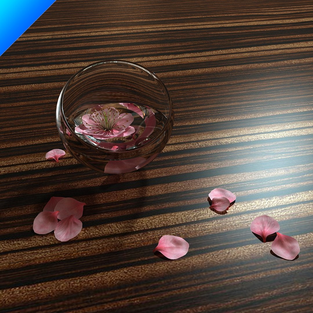 contemporary flower max free https://p.turbosquid.com/ts-thumb/HA/QVWd2S/XDaO3V07/plumblossominglasscup_04/jpg/1309740931/1920x1080/fit_q87/ae52417d4335a9178bab94fbc64c100fd82b00a4/plumblossominglasscup_04.jpg