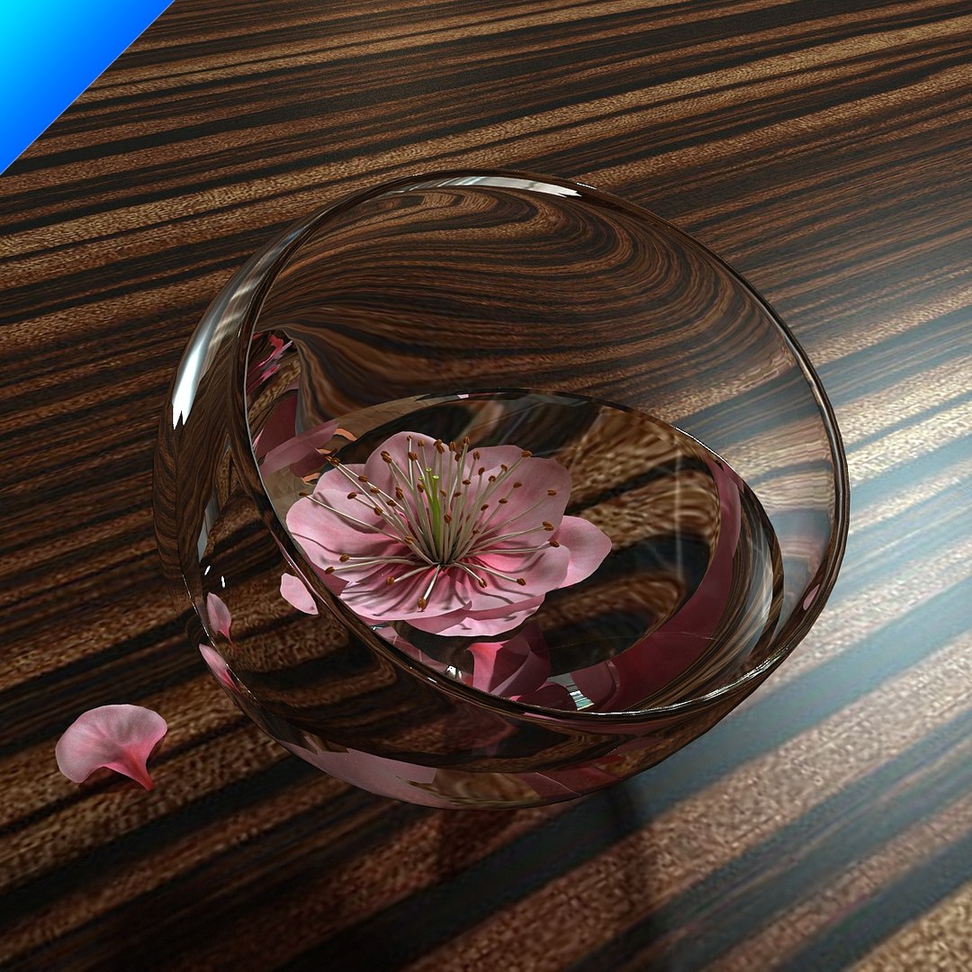 contemporary flower max free https://p.turbosquid.com/ts-thumb/HA/QVWd2S/ptmmHQpk/plumblossominglasscup_05/jpg/1309740931/1920x1080/fit_q87/d8c3138072edb0fa160e5e895c38e37fabb82b8c/plumblossominglasscup_05.jpg