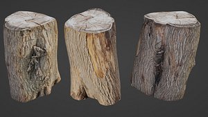 3D Scanned Log