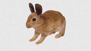 3D Low Poly Rabbit Rigged With Realistic Texture model