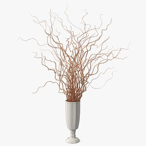 Fresh Curly Willow Branches - 3D Model for VRay, Corona