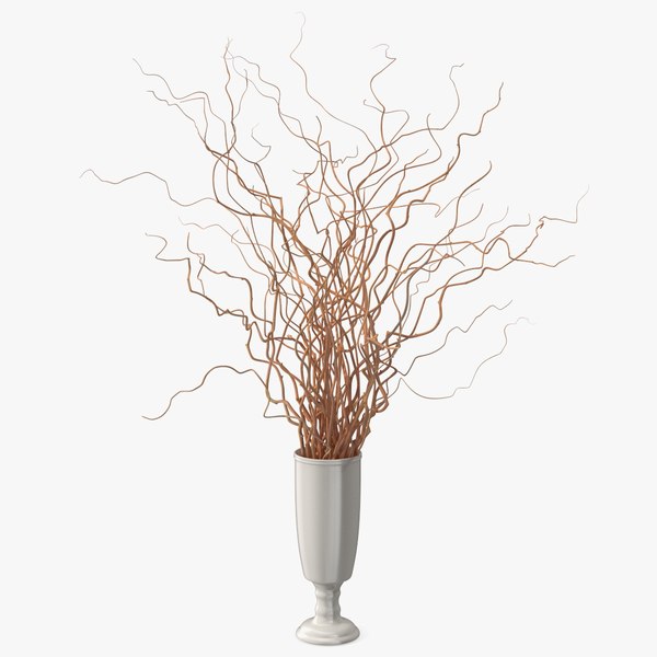 3D Dried Natural Curly Willow in Porcelain Vase model