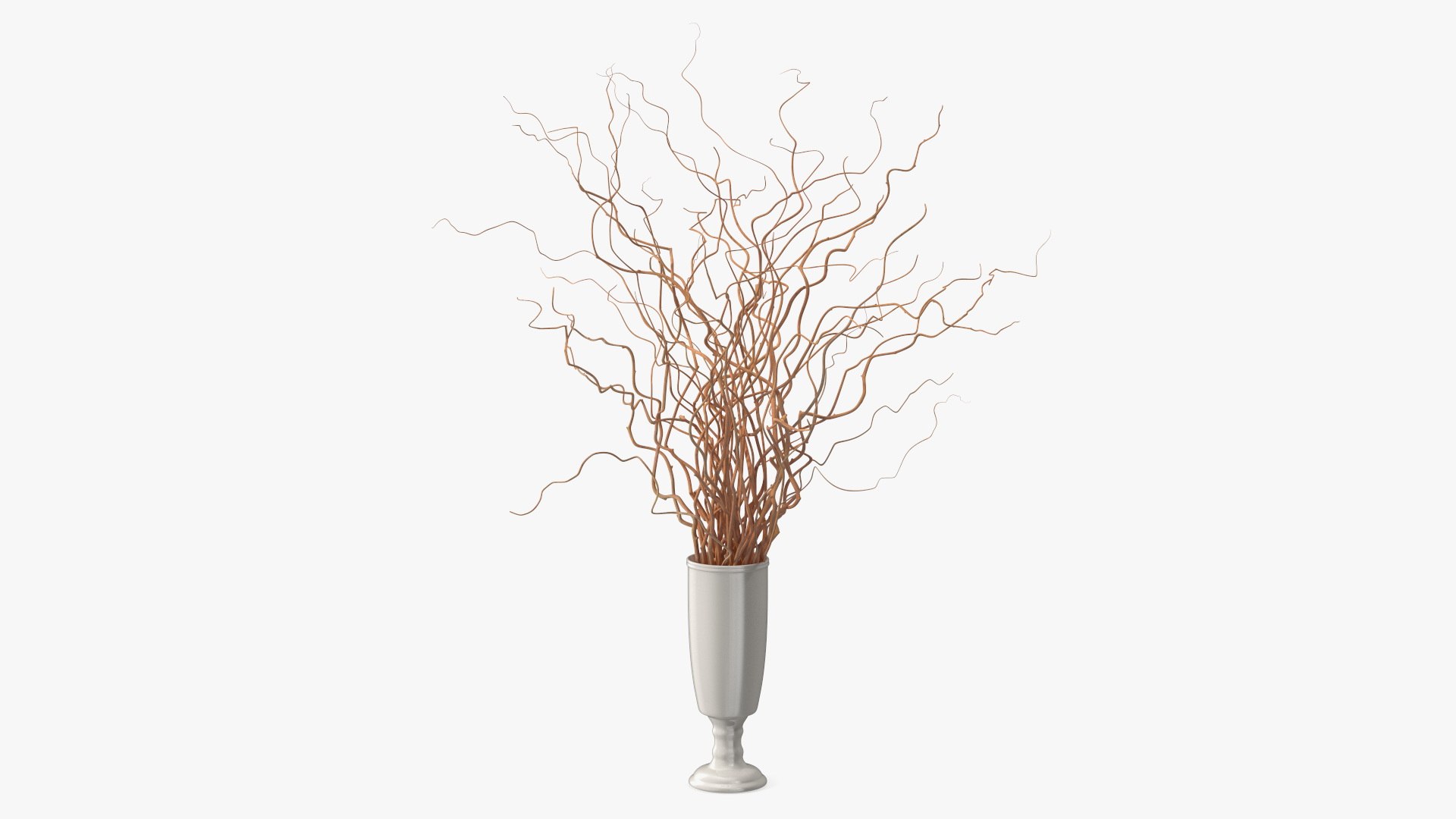 Dried Natural Curly Willow in Porcelain Vase 3D model preview