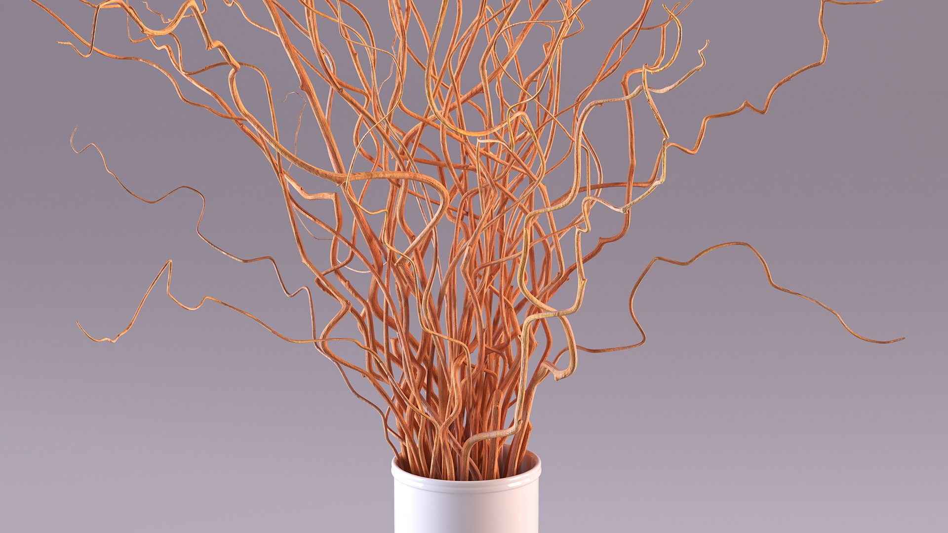 3D Dried Natural Curly Willow in Porcelain Vase model TurboSquid 2040336