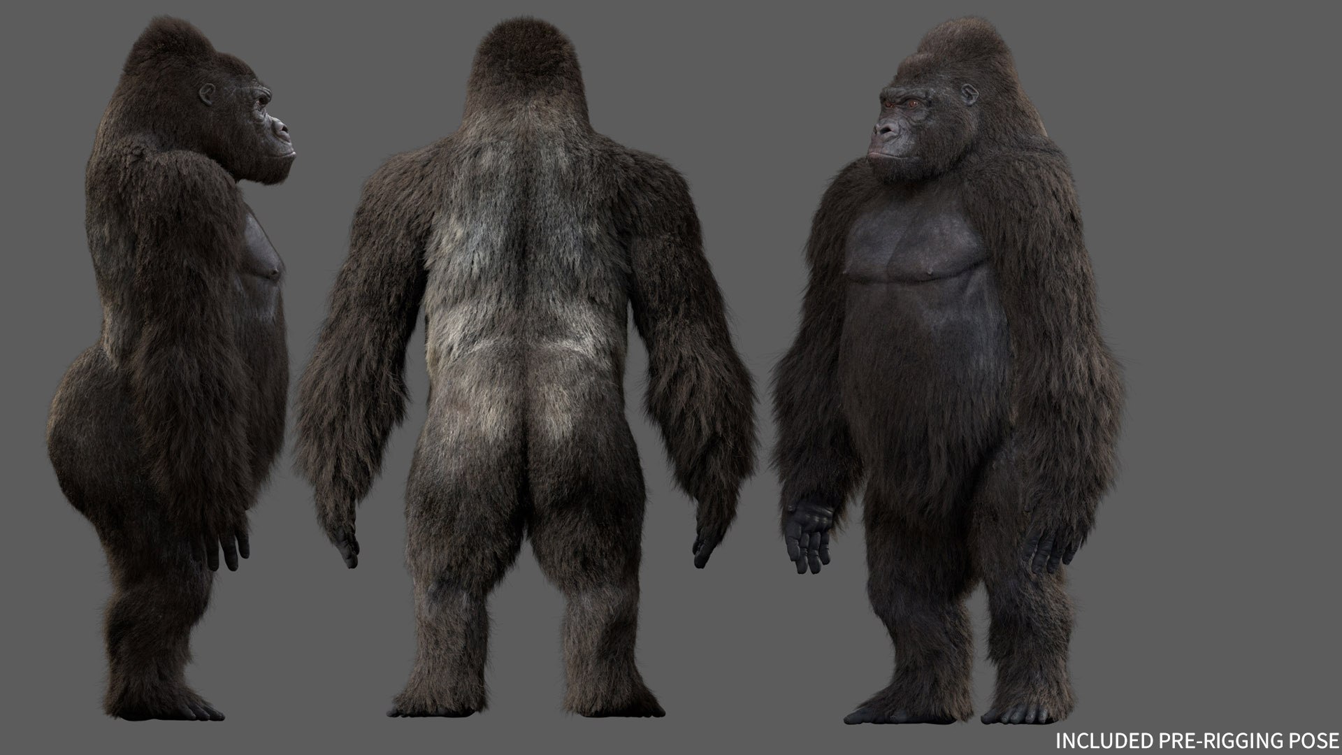 Gorilla Rig Model - TurboSquid 1591389