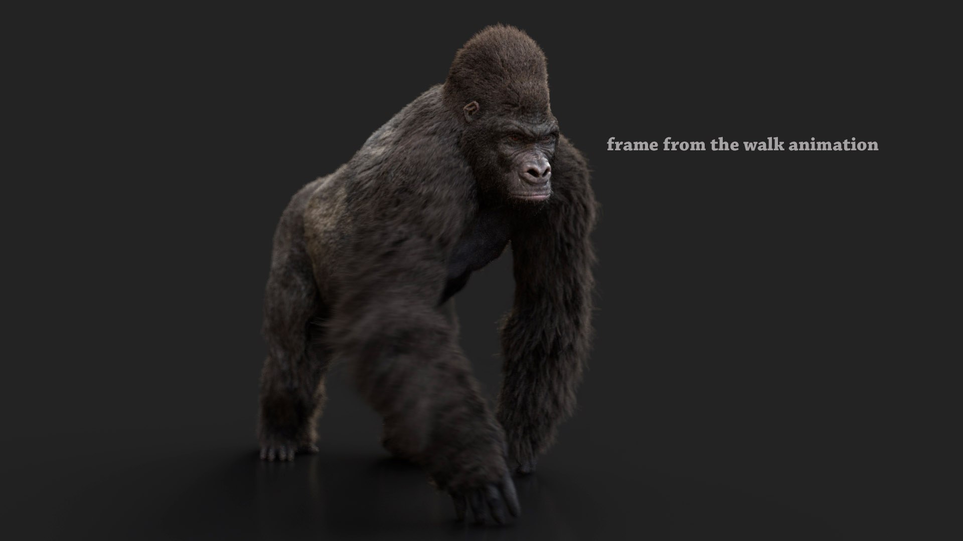 Gorilla Rig Model - TurboSquid 1591389