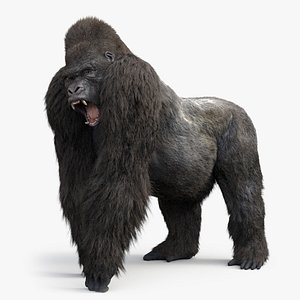 gorilla rig model