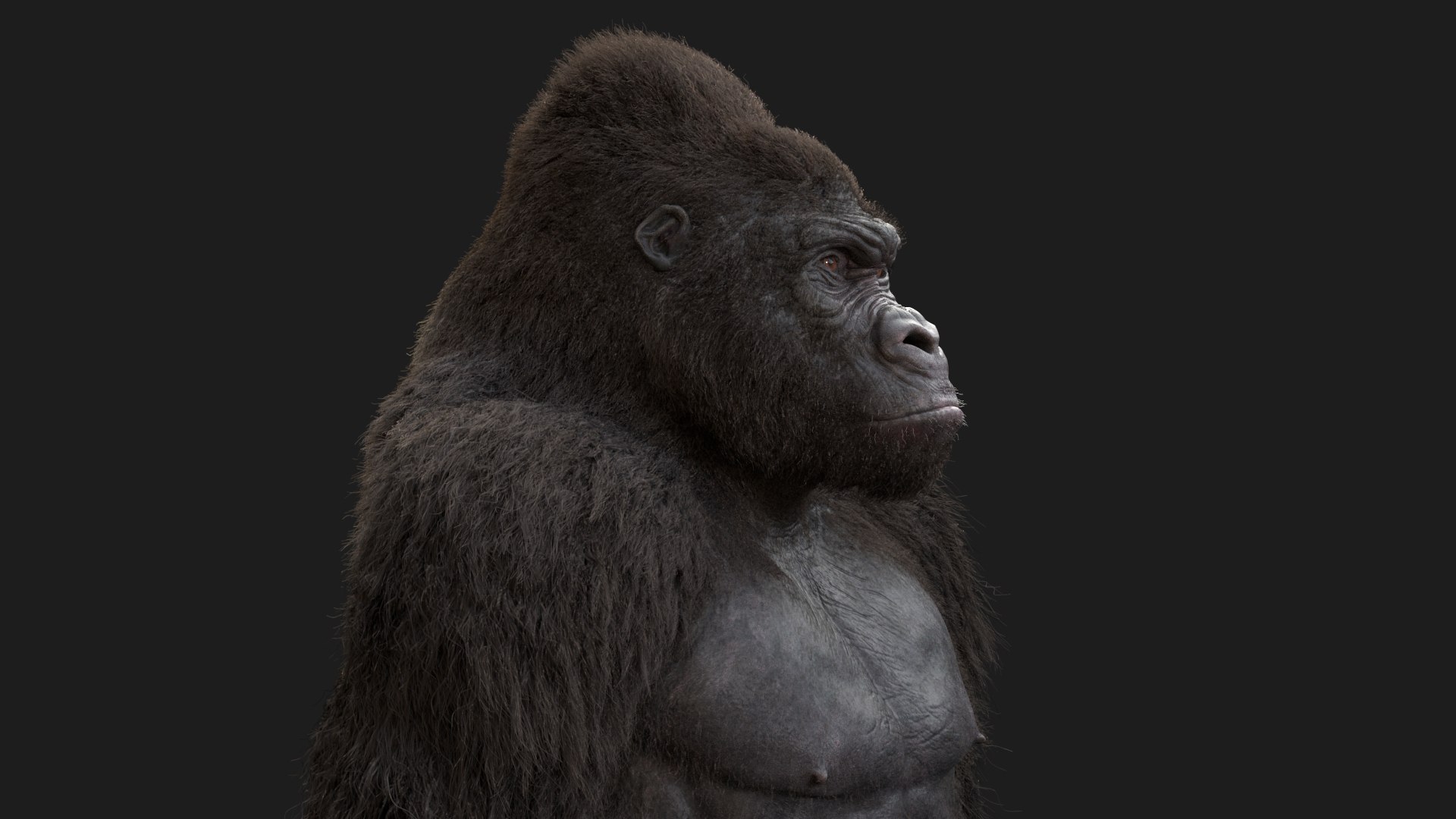 Gorilla Rig Model - Turbosquid 1591389