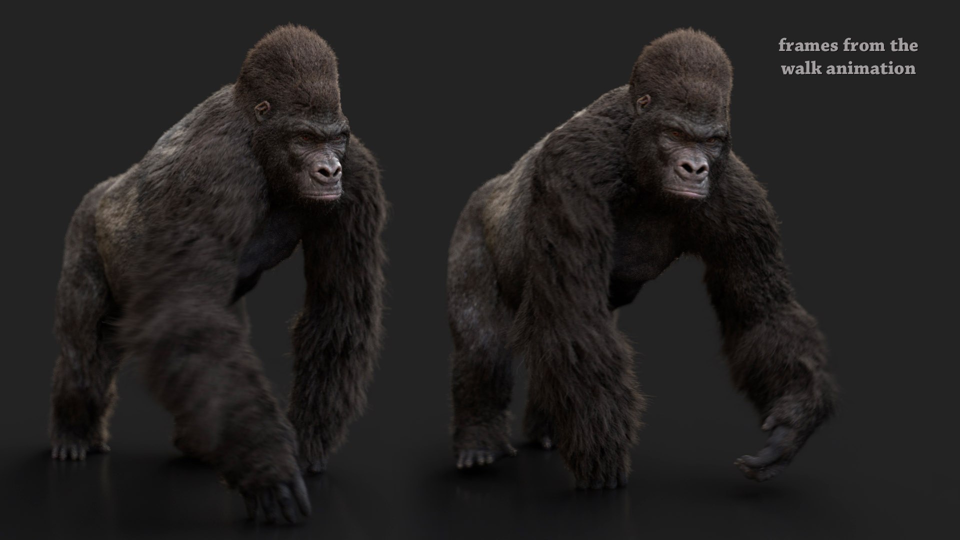 Gorilla Rig Model - TurboSquid 1591389