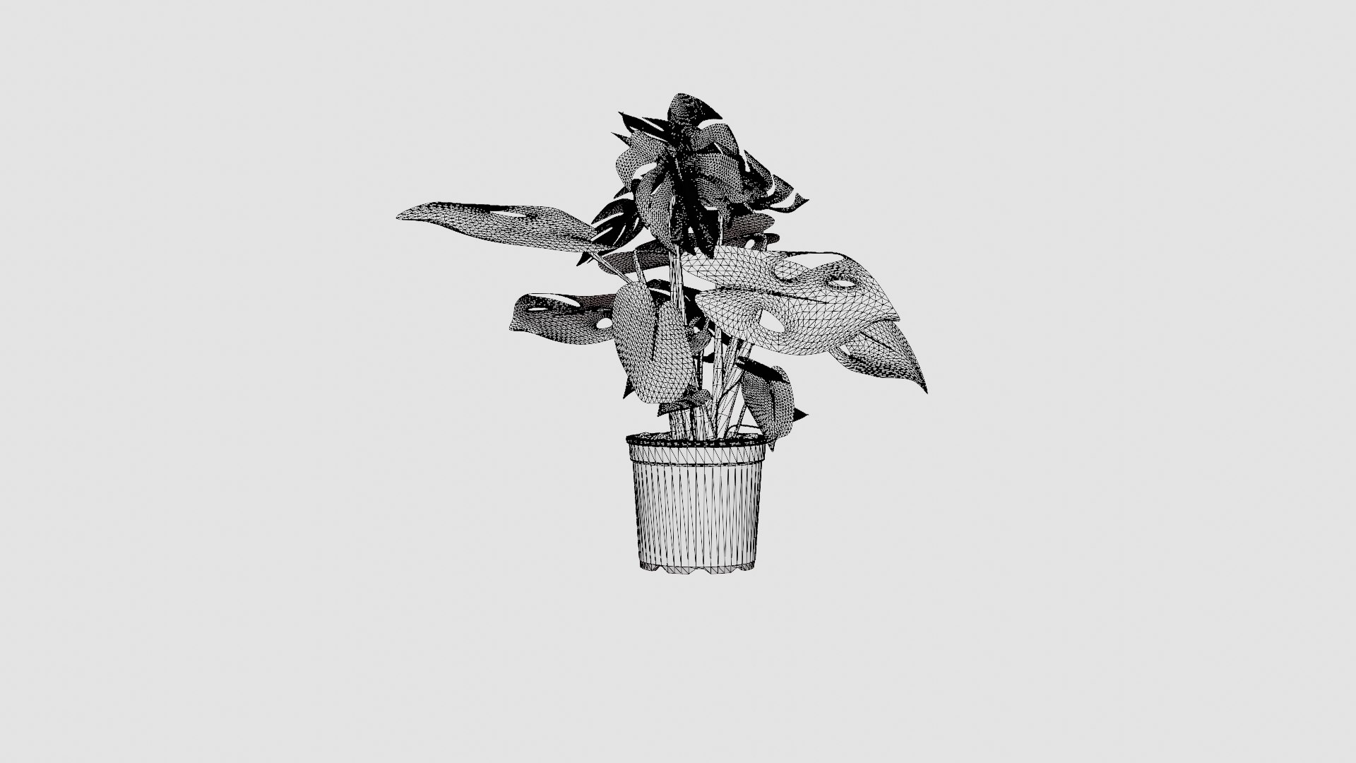 3D Monstera del touffe https://p.turbosquid.com/ts-thumb/HB/UzK3CV/BG/preview_6/jpg/1721218674/1920x1080/fit_q87/7d9cda2a69ec3dac6af783c36585b6d4d08400aa/preview_6.jpg
