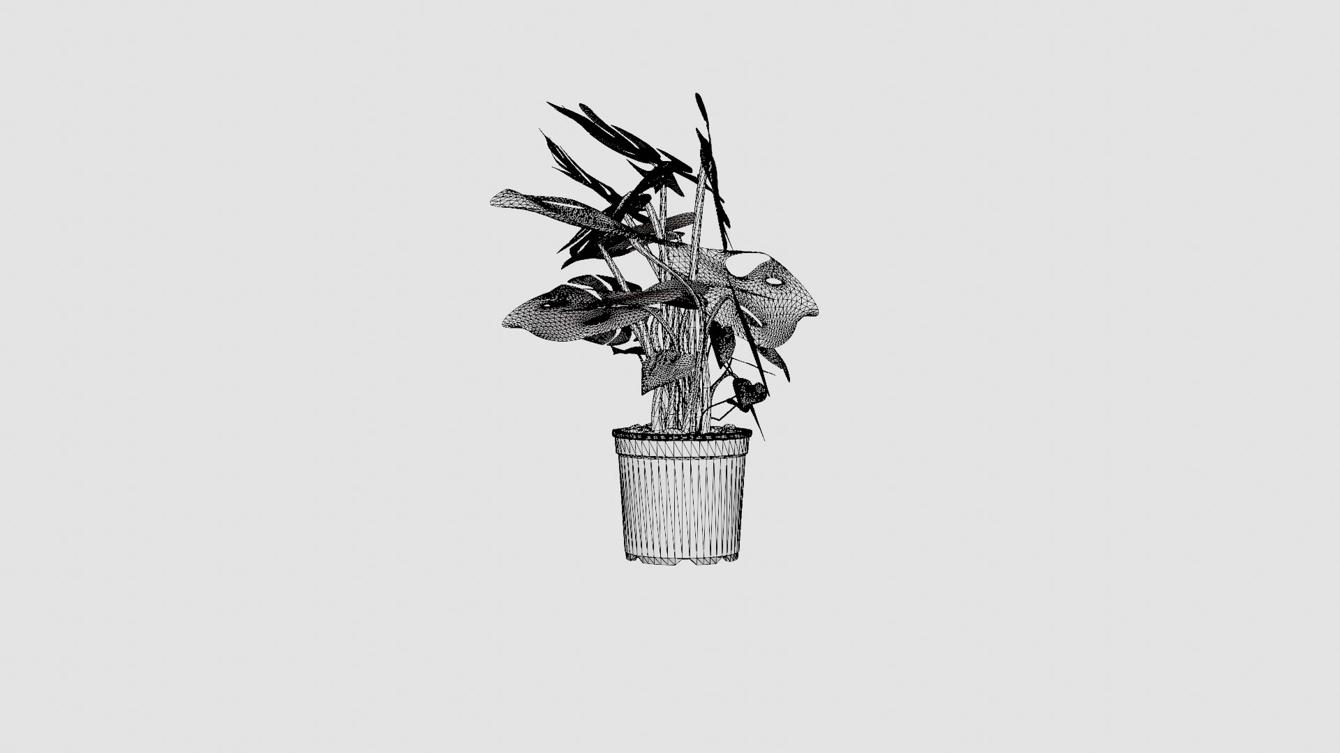 3D Monstera del touffe https://p.turbosquid.com/ts-thumb/HB/UzK3CV/YI/preview_7/jpg/1721218683/1920x1080/fit_q87/153cc4f6572d61273c434b92f87554fd352a30a0/preview_7.jpg