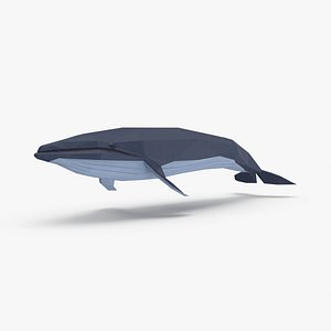 Blue Whale Onward