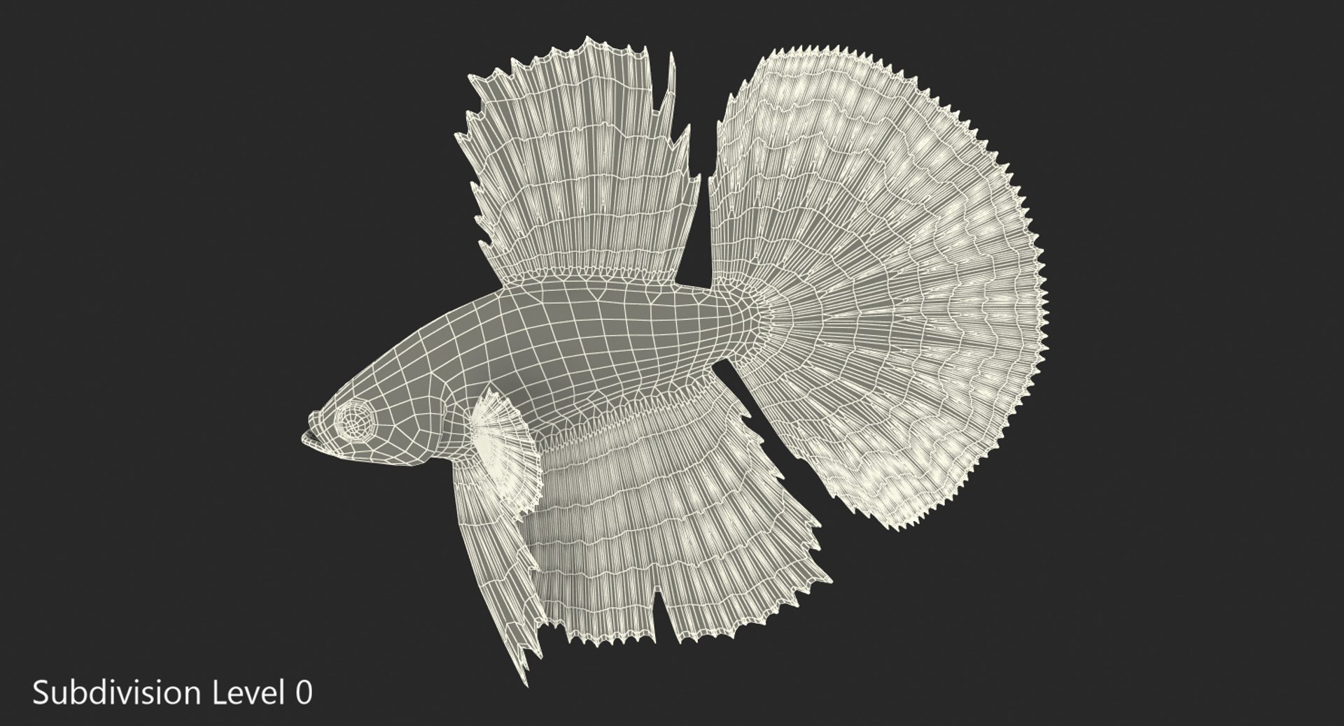 Blue Betta Fish 3D Model - TurboSquid 1240740