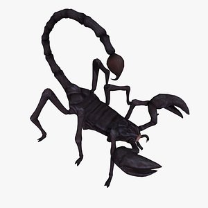 Scorpion (ANIMATED)