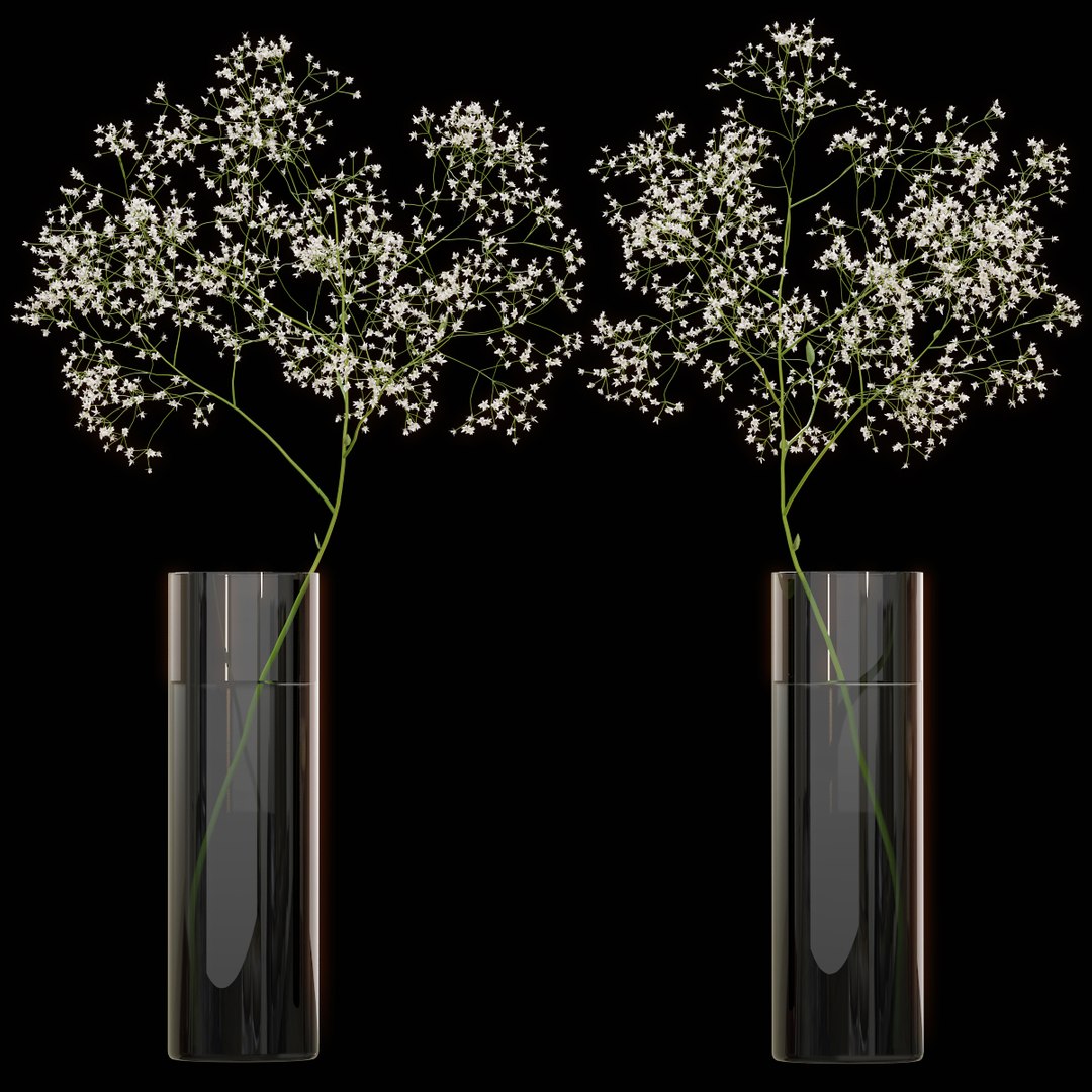 3D Gypsophila Flower Vase TurboSquid 1487722