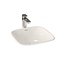 Villeroy Boch Loop Friends 水槽