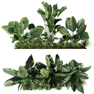 plant vol 826 - banana - monstera - grass - garden 3D model