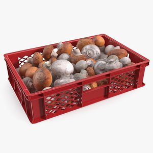 3D Portobello Mushrooms in Plastic Crate