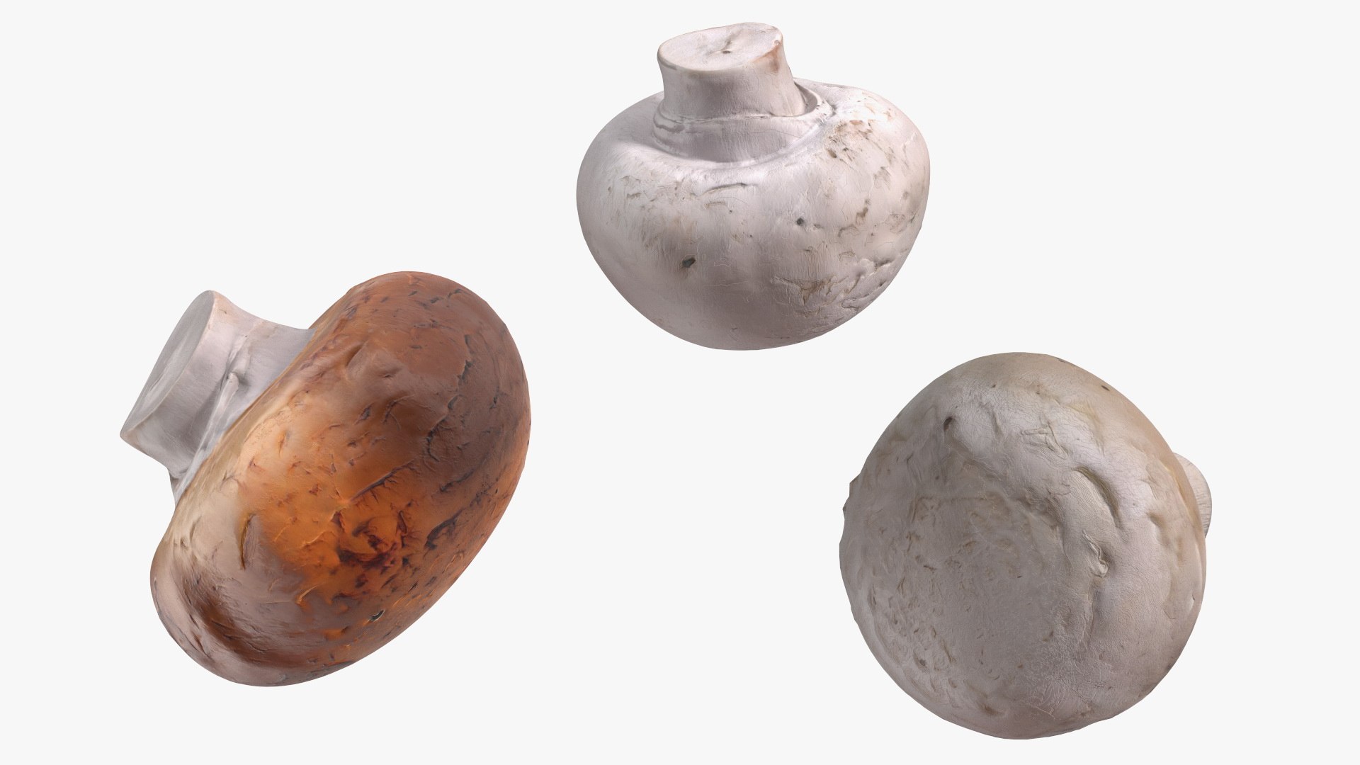 3D Portobello Mushrooms in Plastic Crate https://p.turbosquid.com/ts-thumb/HB/r0Rqx7/Cg/portobello_mushrooms_in_plastic_crate_014/jpg/1743600414/1920x1080/fit_q87/06a5a01c3a77e982d1f8754468329616f2d9176e/portobello_mushrooms_in_plastic_crate_014.jpg