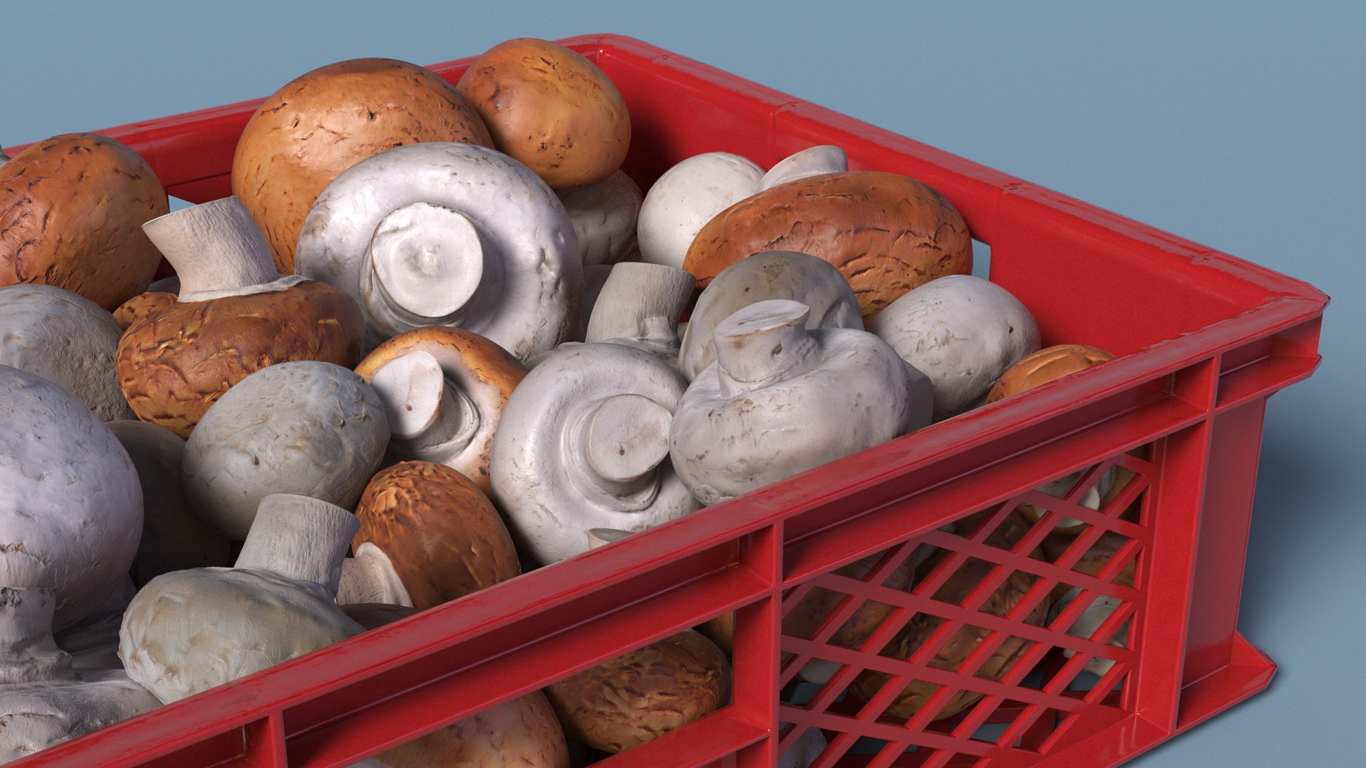 3D Portobello Mushrooms in Plastic Crate https://p.turbosquid.com/ts-thumb/HB/r0Rqx7/FN/portobello_mushrooms_in_plastic_crate_006/jpg/1743600407/1920x1080/fit_q87/095f6caf32d88711dae750014675f35283e48a58/portobello_mushrooms_in_plastic_crate_006.jpg