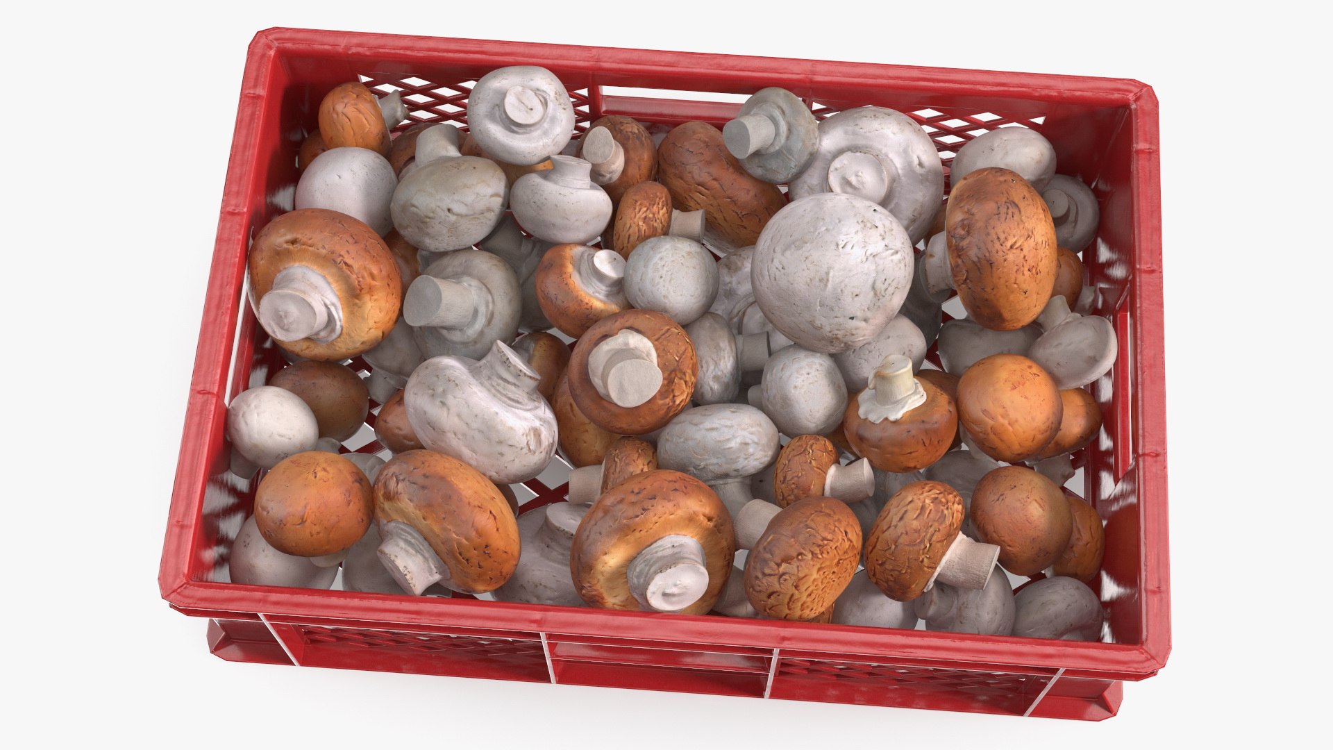 3D Portobello Mushrooms in Plastic Crate https://p.turbosquid.com/ts-thumb/HB/r0Rqx7/KO/portobello_mushrooms_in_plastic_crate_009/jpg/1743600410/1920x1080/fit_q87/a1fe0d8ea37ce96f265f22437e818947285e4cad/portobello_mushrooms_in_plastic_crate_009.jpg