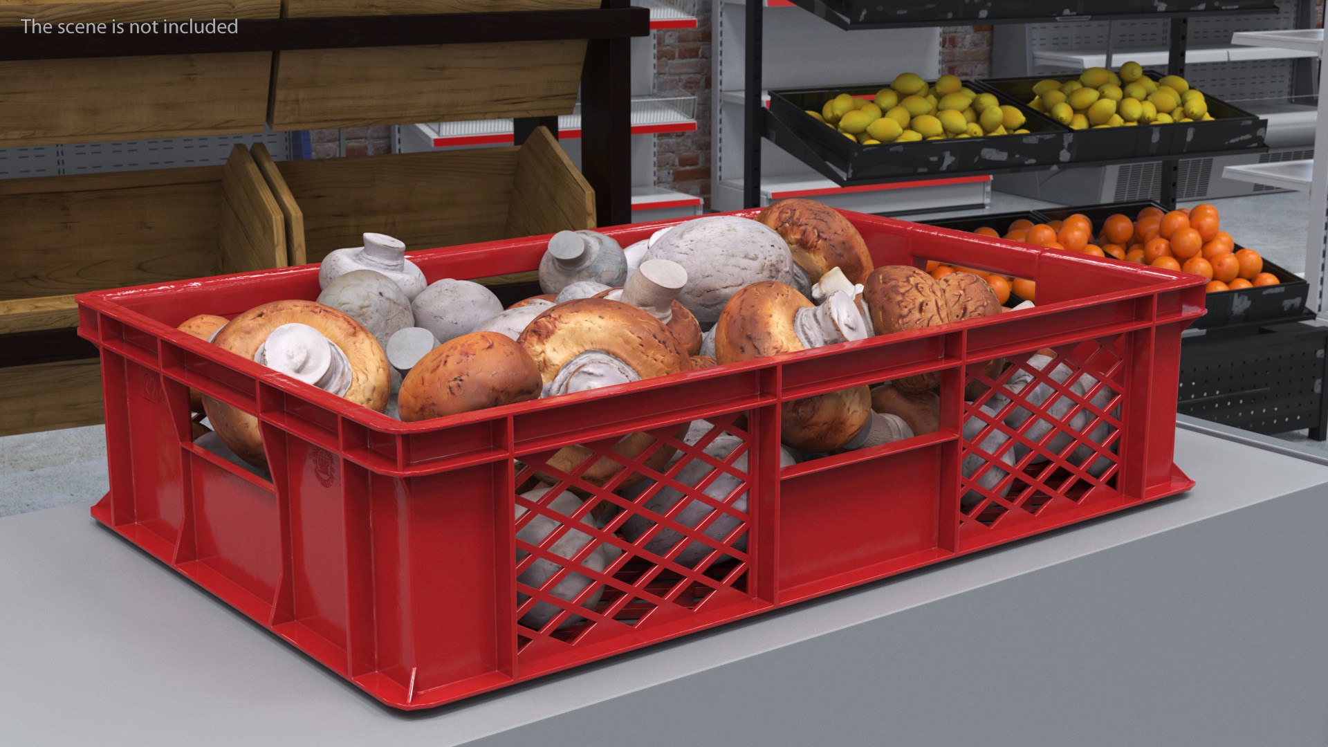 3D Portobello Mushrooms in Plastic Crate https://p.turbosquid.com/ts-thumb/HB/r0Rqx7/Tp/portobello_mushrooms_in_plastic_crate_003/jpg/1743600407/1920x1080/fit_q87/74c46d19741cf6d0d0f5fb3cb4420e63ad2ee665/portobello_mushrooms_in_plastic_crate_003.jpg