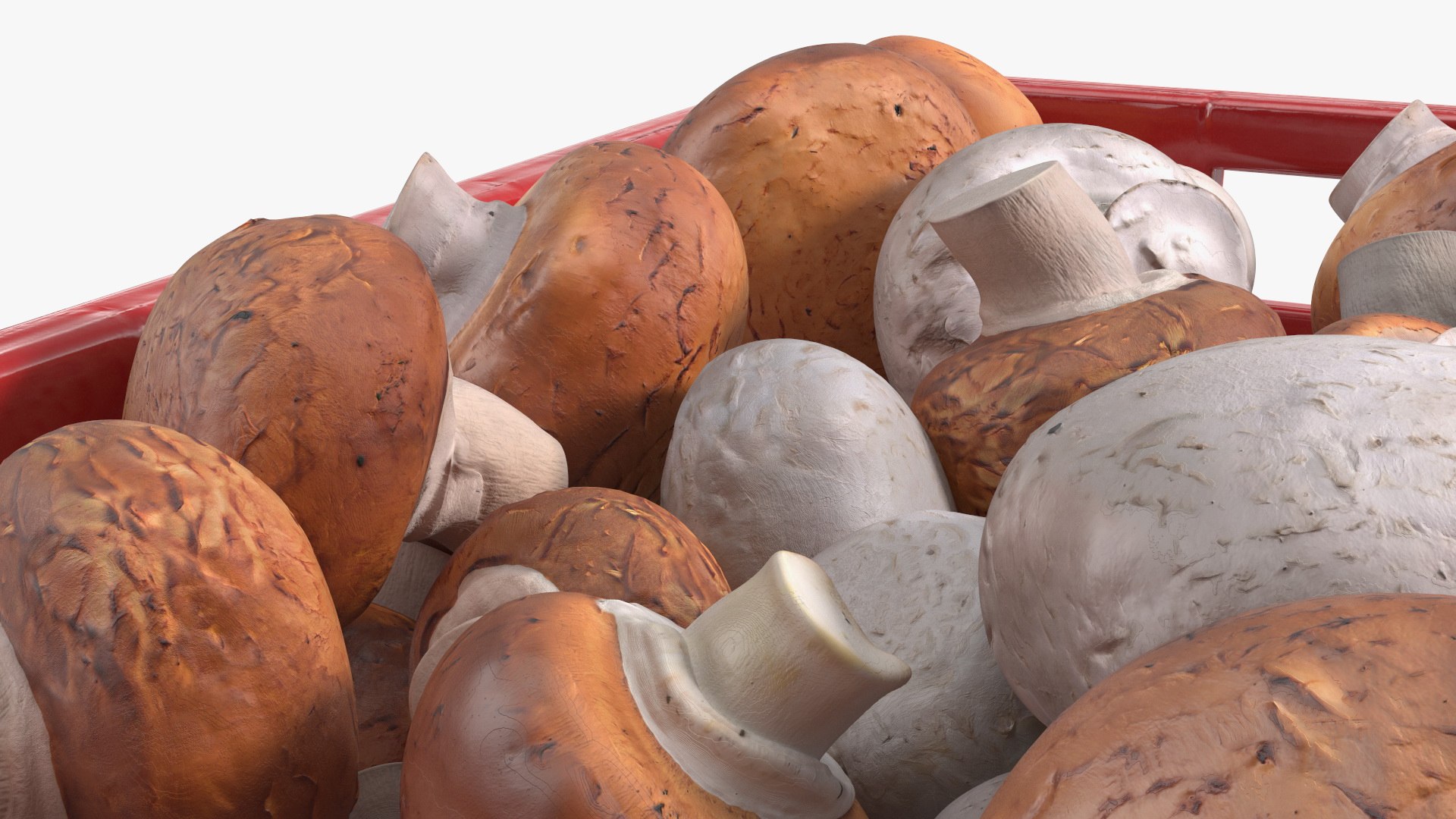 3D Portobello Mushrooms in Plastic Crate https://p.turbosquid.com/ts-thumb/HB/r0Rqx7/il/portobello_mushrooms_in_plastic_crate_012/jpg/1743600414/1920x1080/fit_q87/44471072fa3a5192947a85248357ca8dd92b2a68/portobello_mushrooms_in_plastic_crate_012.jpg