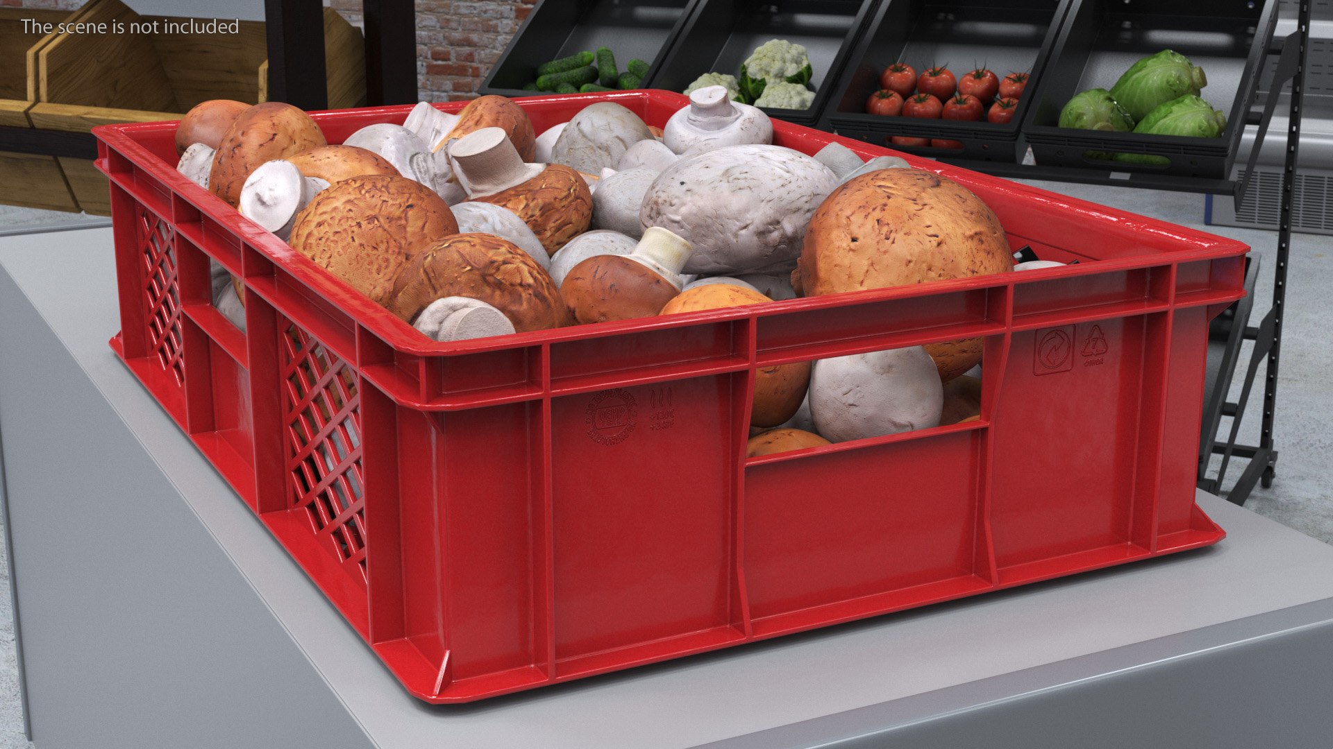 3D Portobello Mushrooms in Plastic Crate https://p.turbosquid.com/ts-thumb/HB/r0Rqx7/kU/portobello_mushrooms_in_plastic_crate_004/jpg/1743600405/1920x1080/fit_q87/f6e05f9b8a24a3416114ddb8906493ef7af6f0dc/portobello_mushrooms_in_plastic_crate_004.jpg