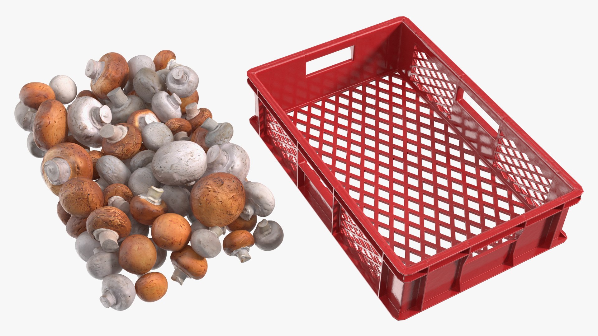 3D Portobello Mushrooms in Plastic Crate https://p.turbosquid.com/ts-thumb/HB/r0Rqx7/kj/portobello_mushrooms_in_plastic_crate_013/jpg/1743600412/1920x1080/fit_q87/ed2a5fbde1ca91af42f236c807860bfa4cf29a7e/portobello_mushrooms_in_plastic_crate_013.jpg