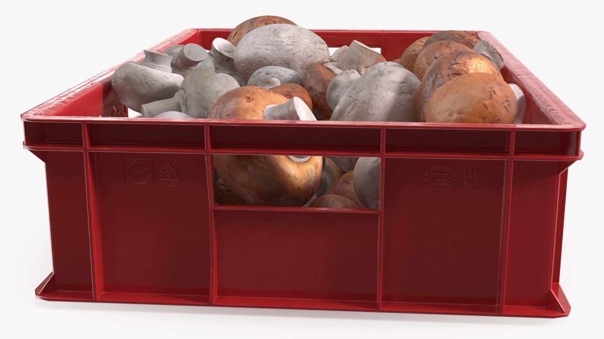 3D Portobello Mushrooms in Plastic Crate https://p.turbosquid.com/ts-thumb/HB/r0Rqx7/p9/portobello_mushrooms_in_plastic_crate_007/jpg/1743600408/1920x1080/fit_q87/fb39b99ab3ebe14b82c3780d4072ab2b493faabf/portobello_mushrooms_in_plastic_crate_007.jpg