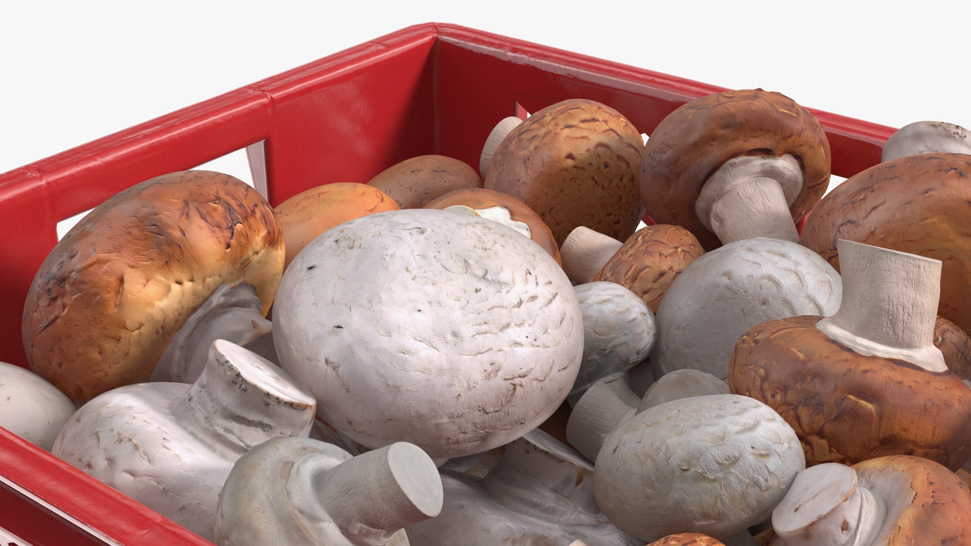3D Portobello Mushrooms in Plastic Crate https://p.turbosquid.com/ts-thumb/HB/r0Rqx7/w0/portobello_mushrooms_in_plastic_crate_011/jpg/1743600412/1920x1080/fit_q87/11162570f4ba4e9fe91d8553e5226c9c40cc91ca/portobello_mushrooms_in_plastic_crate_011.jpg