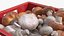 Portobello Mushrooms in Plastic Crate