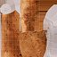 Portobello Mushrooms in Plastic Crate