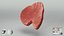 Paquete de carne