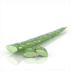 Aloe vera leaf and slice herb cosmetics advertising decor