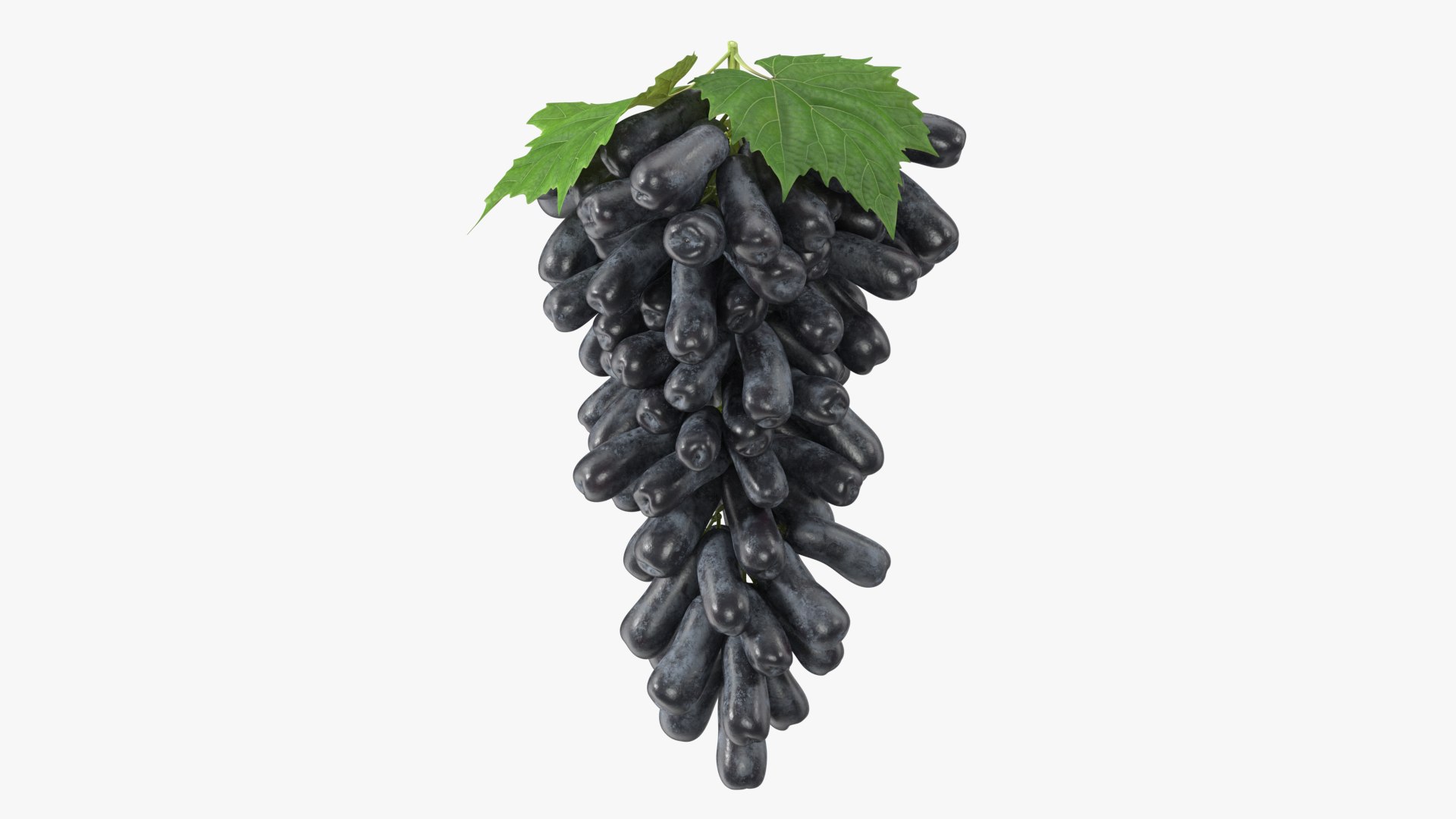 Grapes Sweet Sapphire with Leaf 3D model preview