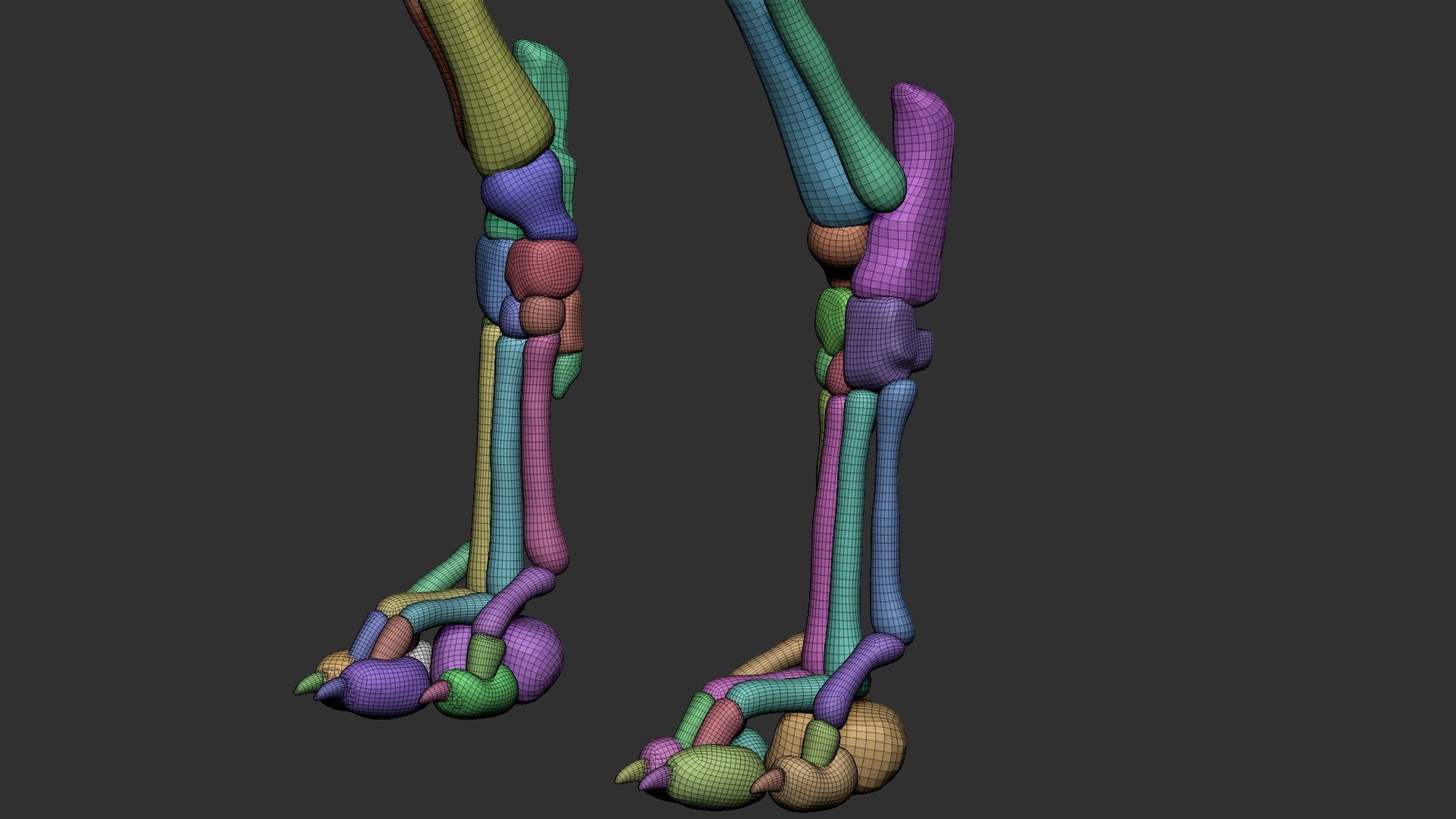dog muscle skeleton anatomy model https://p.turbosquid.com/ts-thumb/HC/07Ph4d/0hHMbGgm/18/jpg/1573808962/1920x1080/fit_q87/49888b6db34bbe35434149d7e3fbf5b13404a2b9/18.jpg