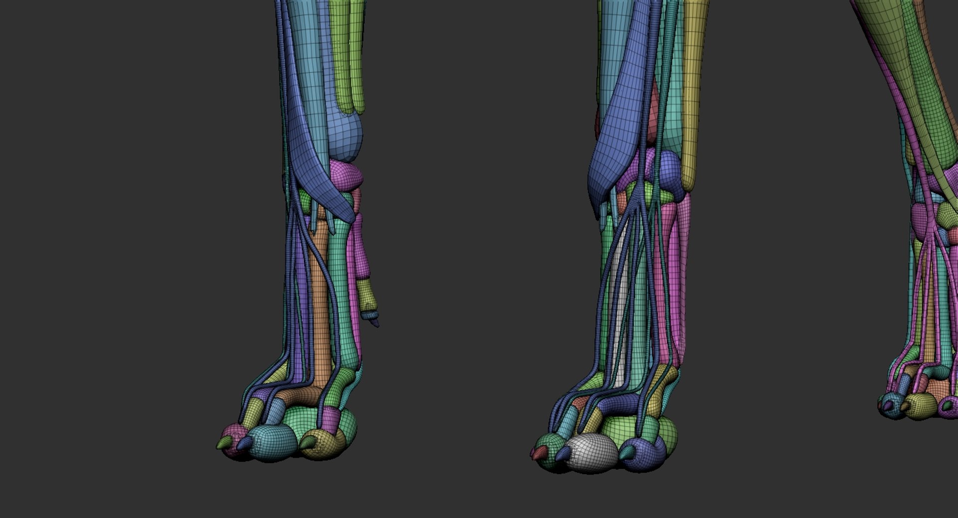 dog muscle skeleton anatomy model https://p.turbosquid.com/ts-thumb/HC/07Ph4d/Z7uIVp6Q/9/jpg/1580773418/1920x1080/fit_q87/0aa3e11bc3739411ddb13d9c3e32ce1ac0721c80/9.jpg