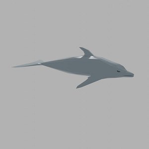 dolphin