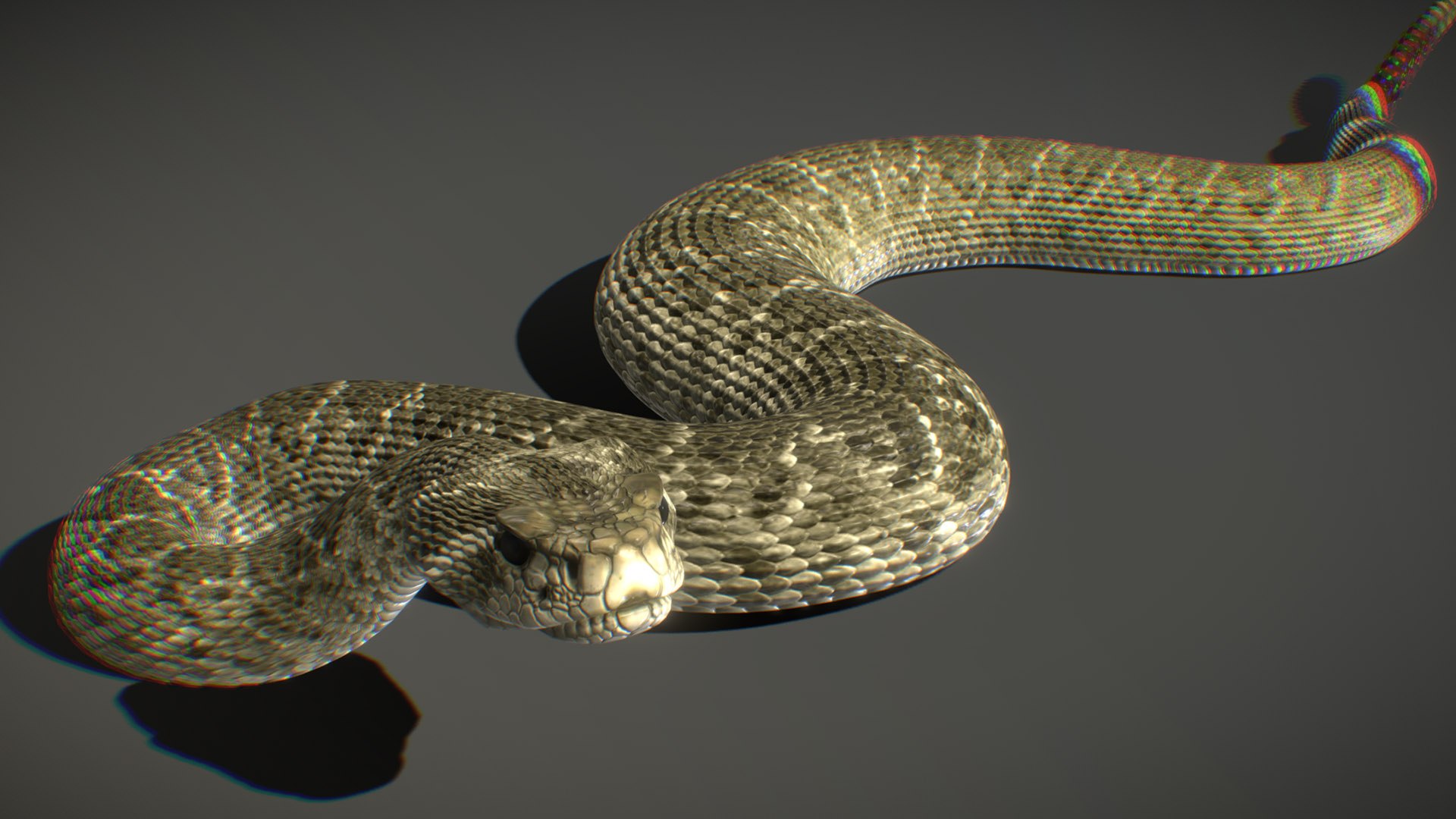 Western Diamondback Rattlesnake 3D - TurboSquid 2384860