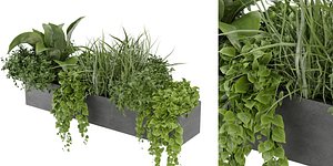 3D Collection plant vol 333 - blender